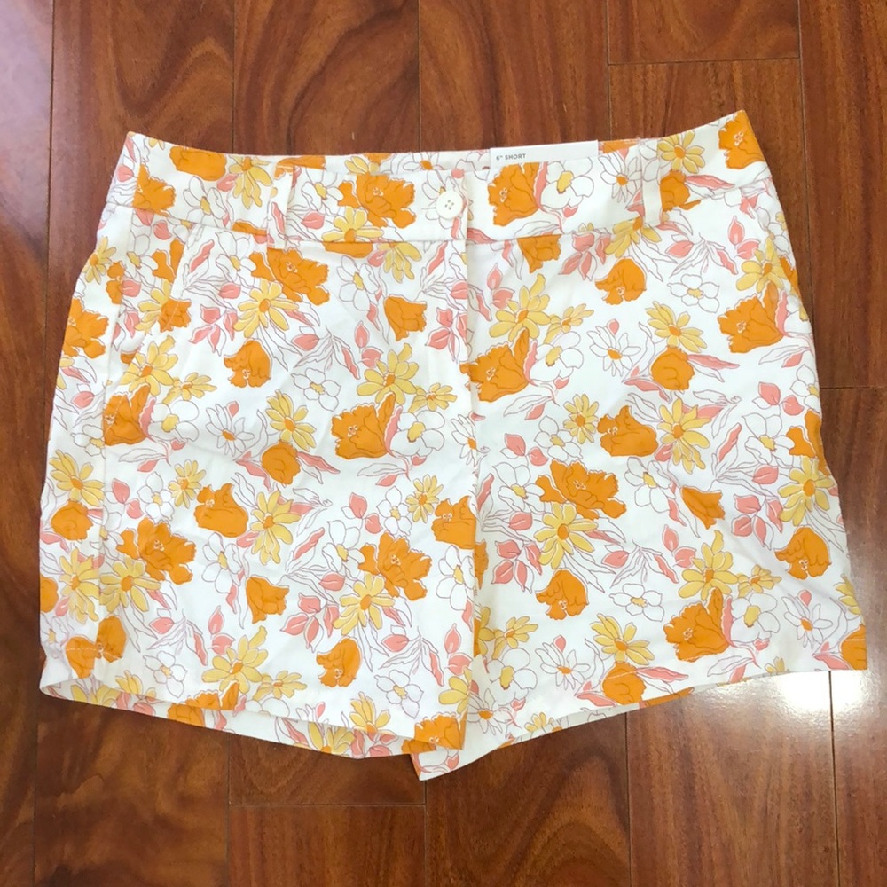 NWT Loft Shorts